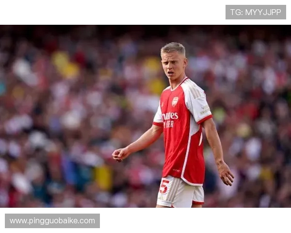 津琴科败诉需缴30万英镑税款 税务官司判决结果公布